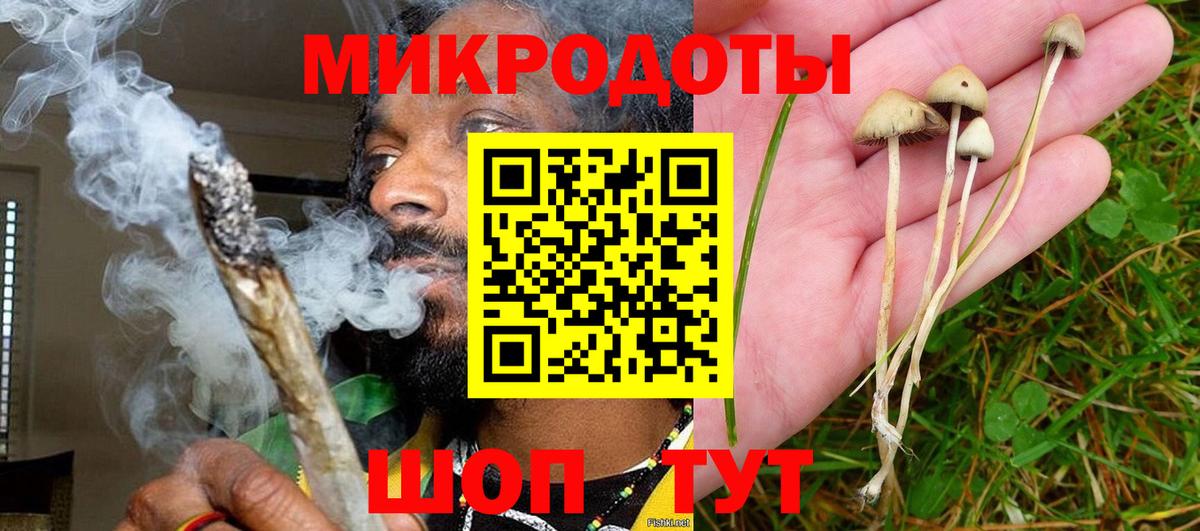 Псилоцибиновые грибы Psilocybine cubensis Каменск-Уральский