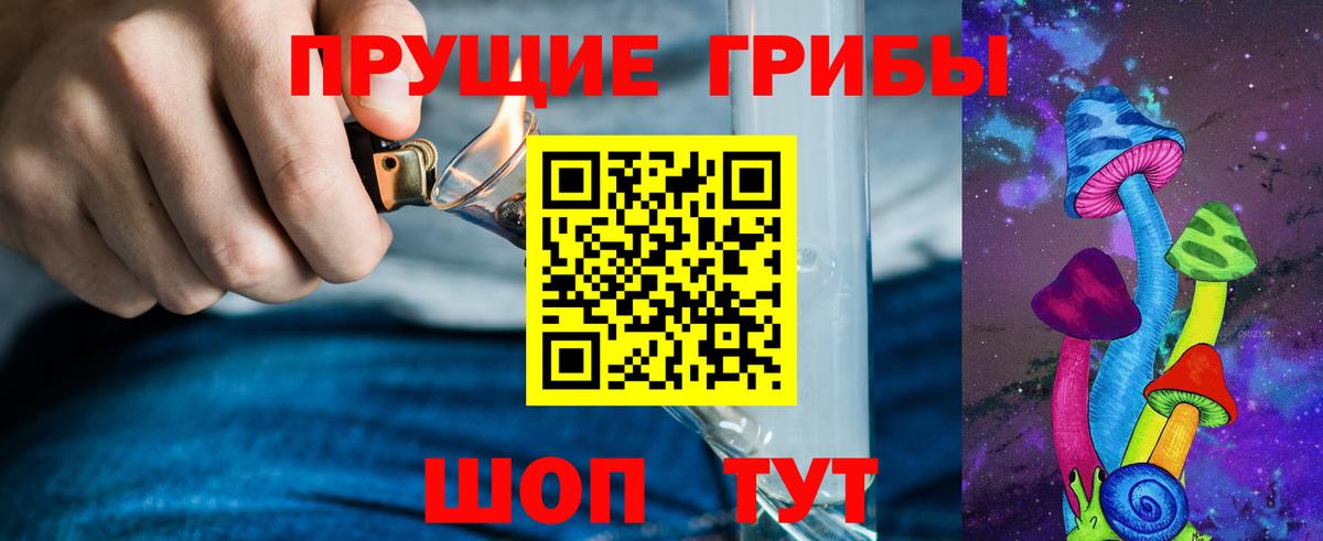 Галлюциногенные грибы GOLDEN TEACHER  Галлюциногенные грибы Psilocybe  Каменск-Уральский  Вход с VPN 